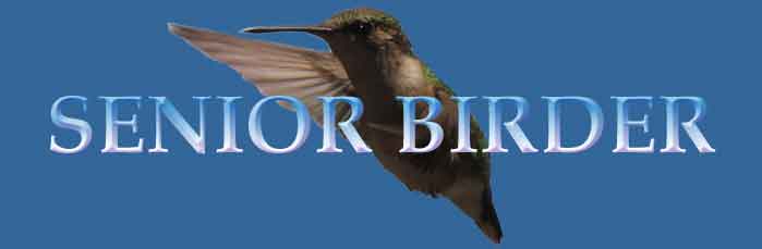 SeniorBirder.com