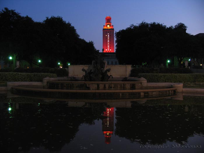 Hook 'em Horns